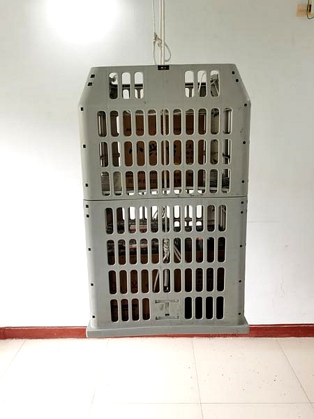 更衣叼嘿视频免费看 更衣叼嘿视频免费看