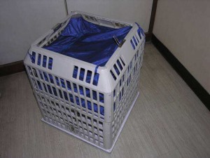 更衣叼嘿视频免费看